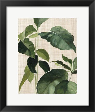 Framed Tropical Study II Linen Print