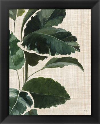 Framed Tropical Study I Linen Print
