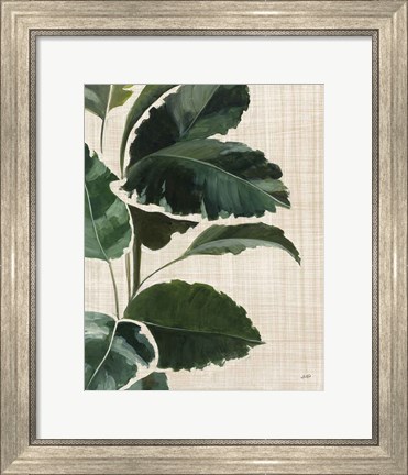 Framed Tropical Study I Linen Print