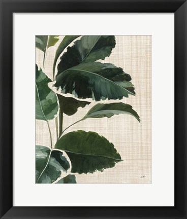 Framed Tropical Study I Linen Print