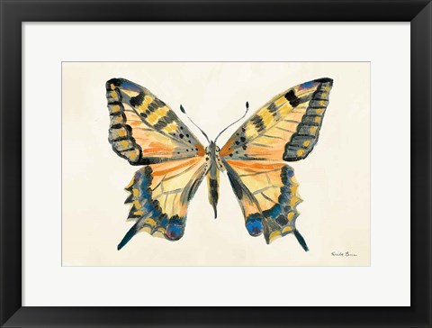 Framed Butterfly Study II Print