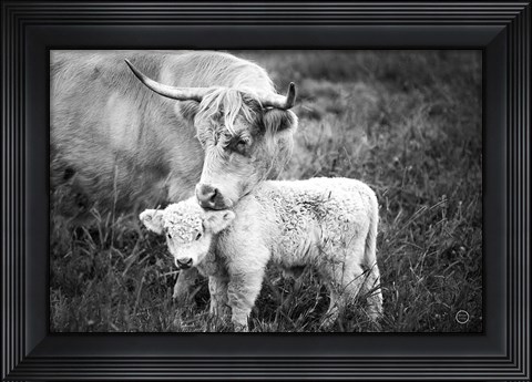 Framed Cow Care Print