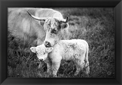 Framed Cow Care Print