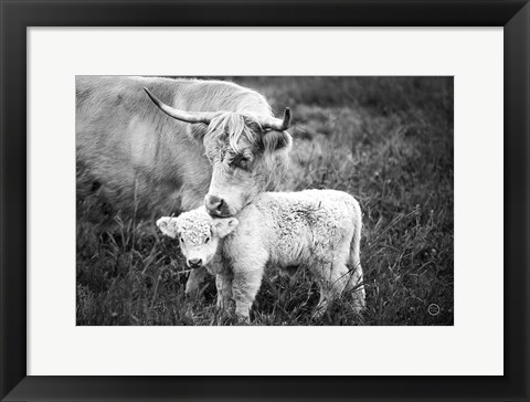 Framed Cow Care Print