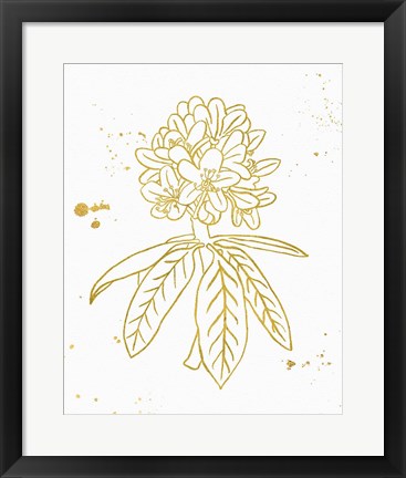 Framed Gold Blooms II Print