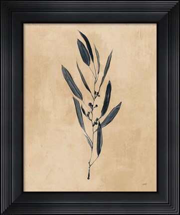 Framed Botanical Study I Brown Print