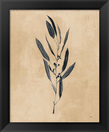 Framed Botanical Study I Brown Print