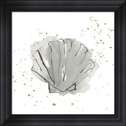 Framed Sea Scallop Print