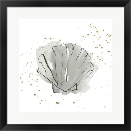 Framed Sea Scallop Print