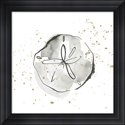 Framed Sand Dollar I Print