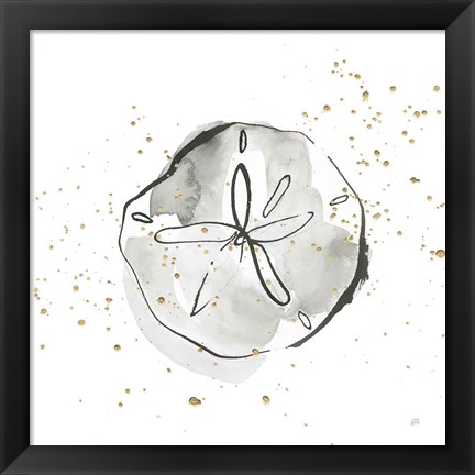 Framed Sand Dollar I Print