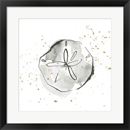 Framed Sand Dollar I Print