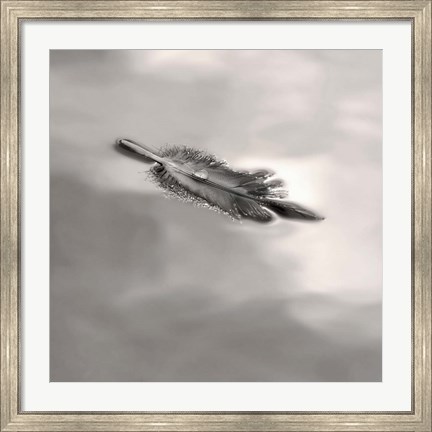 Framed Feather on Liquid Sky Print