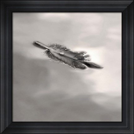 Framed Feather on Liquid Sky Print