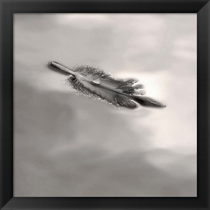 Framed Feather on Liquid Sky Print