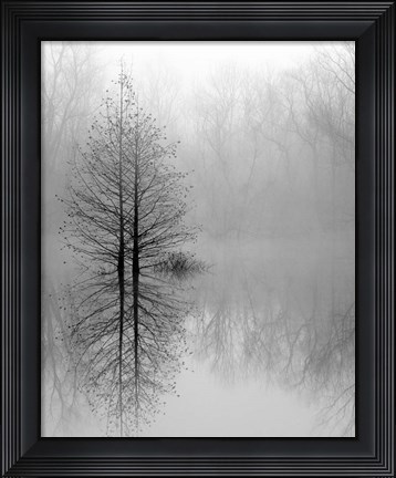 Framed Lake Trees in Winter Fog Print