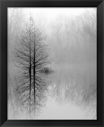 Framed Lake Trees in Winter Fog Print