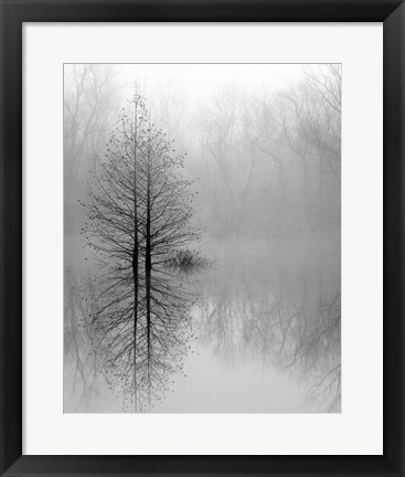 Framed Lake Trees in Winter Fog Print