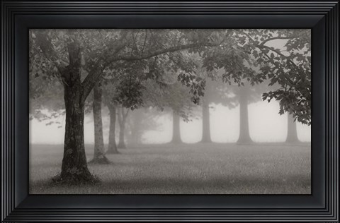 Framed Trees In Early Autumn Print