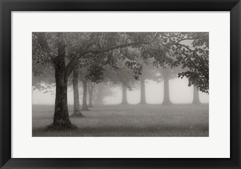 Framed Trees In Early Autumn Print