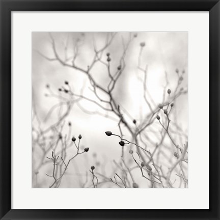 Framed Winter Berries Print