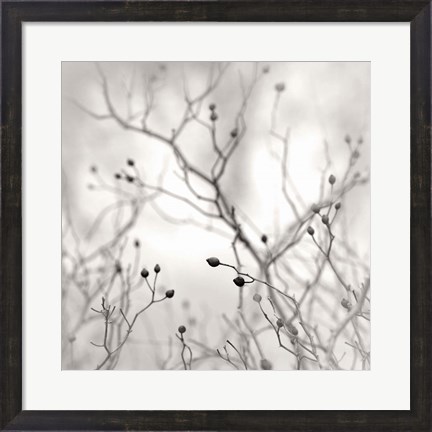 Framed Winter Berries Print