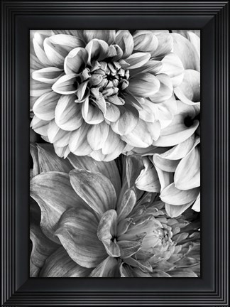 Framed B&amp;W Flower 2 Print