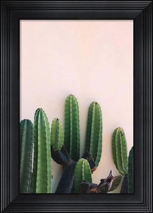 Framed Cactus Print