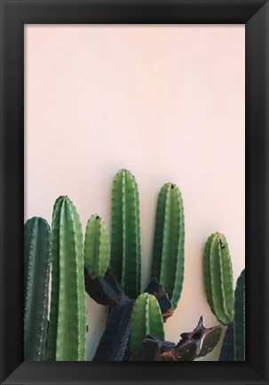 Framed Cactus Print