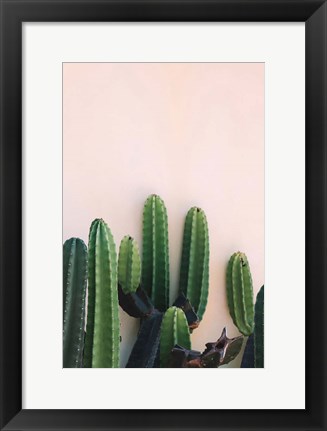 Framed Cactus Print