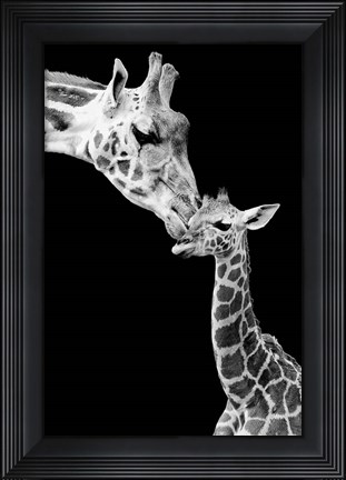 Framed First Love - Giraffe Print