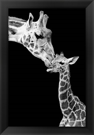 Framed First Love - Giraffe Print