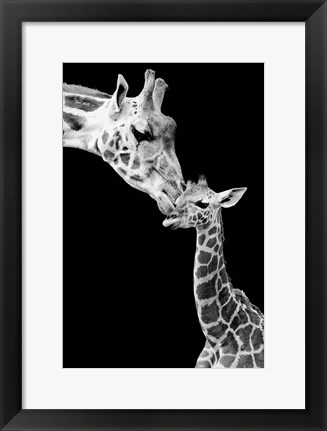 Framed First Love - Giraffe Print