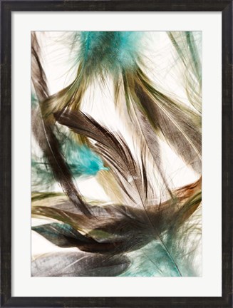 Framed Floating Feathers Print