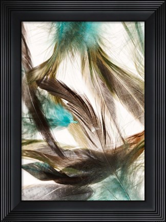Framed Floating Feathers Print