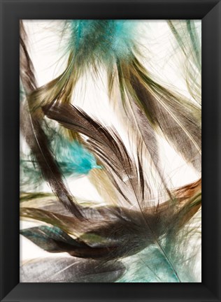 Framed Floating Feathers Print