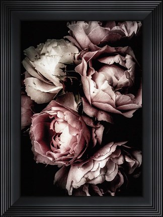 Framed Floral 30 Print