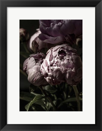 Framed Flower 3 Print