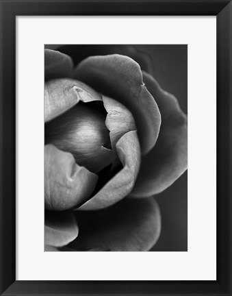 Framed Flower Bloom Print