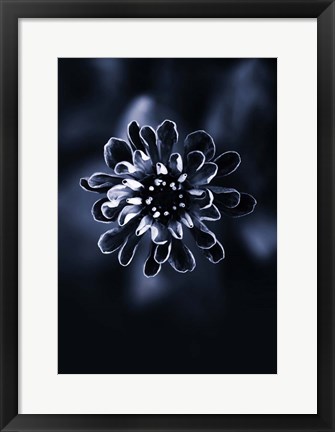 Framed Flower Bloom 2 Print