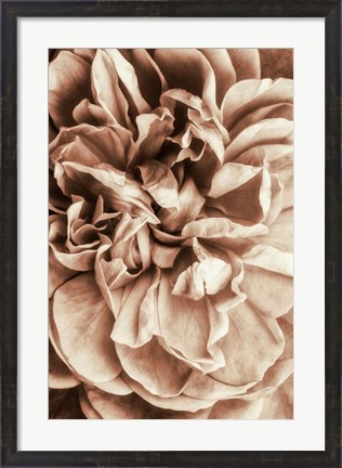Framed Flower Bloom 3 Print