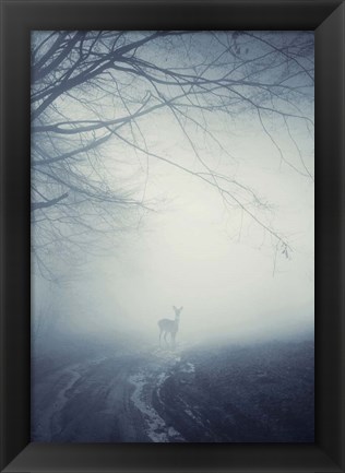 Framed Foggy Morning Hike Print