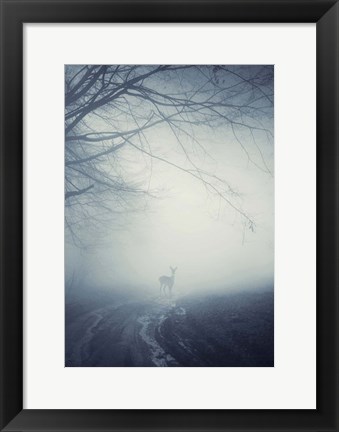 Framed Foggy Morning Hike Print