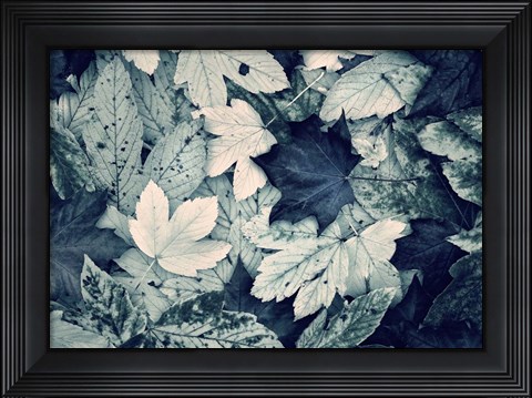 Framed Forest Floor Print