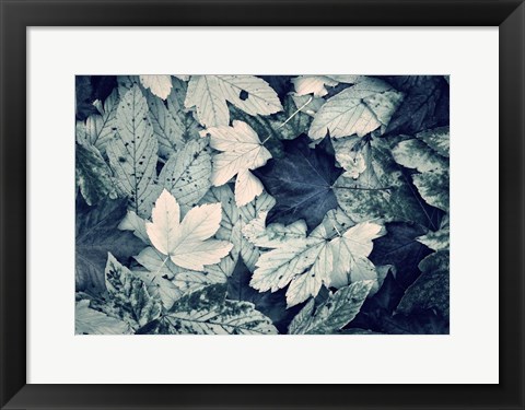 Framed Forest Floor Print