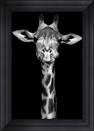 Framed Giraffe Print