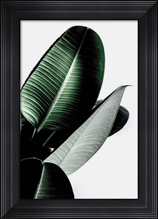 Framed Leaves Print
