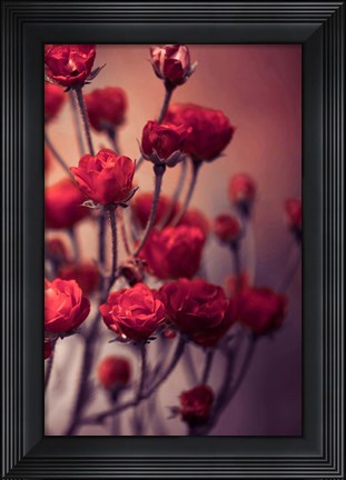 Framed Red Flowers Print