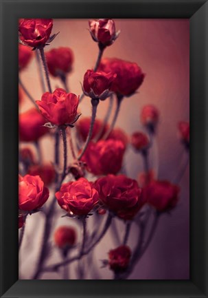 Framed Red Flowers Print