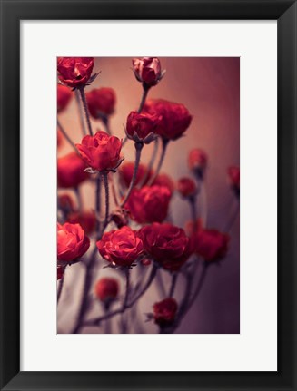 Framed Red Flowers Print